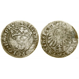 Polska, szeląg, 1531, Toruń