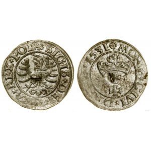 Polska, szeląg, 1531, Gdańsk