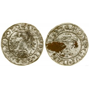 Polska, szeląg, 1532, Gdańsk