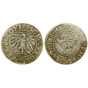 Polska, szeląg, 1538, Gdańsk