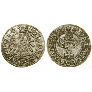 Polska, szeląg, 1539, Gdańsk