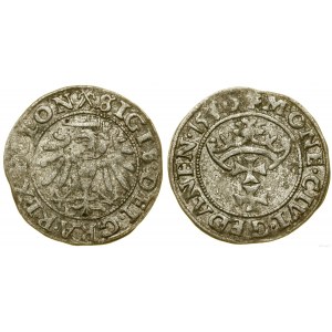 Polska, szeląg, 1540, Gdańsk