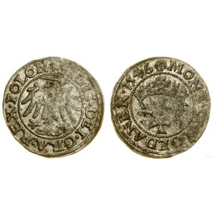 Polska, szeląg, 1546, Gdańsk