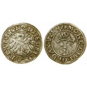 Polska, szeląg, 1547, Gdańsk