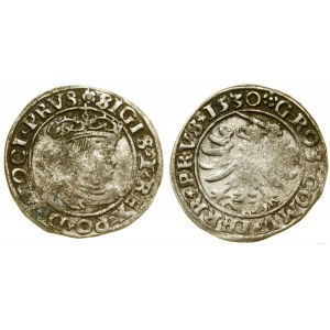 Polska, grosz, 1530, Toruń