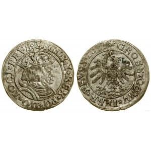 Polska, grosz, 1531, Toruń