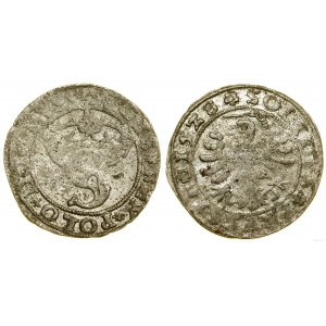 Polska, szeląg, 1528, Toruń