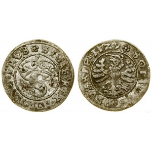 Polska, szeląg, 1529, Toruń