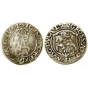 Polska, trojak, 1562 (?), Wilno