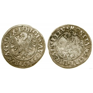 Polska, półgrosz, 1546, Wilno