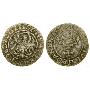 Polska, szeląg, 1551, Gdańsk