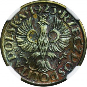 5 groszy 1923 Mosiądz - NGC MS65