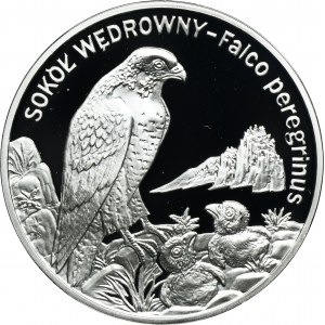 20 złotych 2008 Sokół