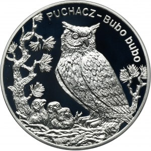 20 złotych 2005 Puchacz