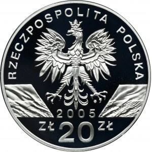 20 złotych 2005 Puchacz