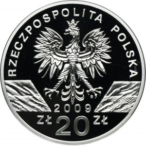 20 złotych 2009 Jaszczurka Zielona