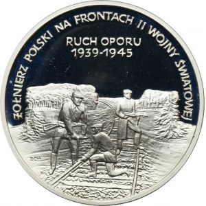 200.000 złotych 1993, Żołnierz Polski na Frontach II Wojny Światowej - Ruch Oporu 1939-1945