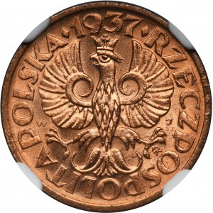 1 grosz 1937 - NGC MS65 RD