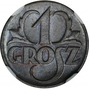 1 grosz 1923 - NGC MS65 BN