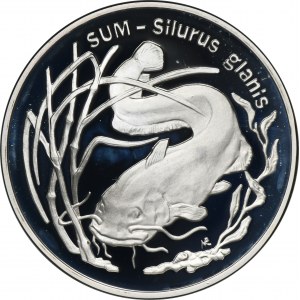 20 złotych 1995 Sum