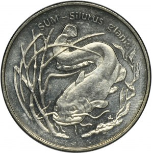 2 Gold 1995 Sum