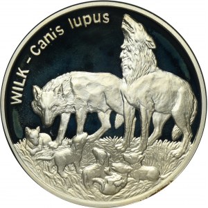 20 złotych 1999 Wilk