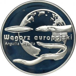20 złotych 2003 Węgorz europejski