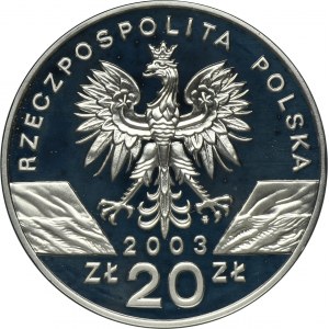 20 złotych 2003 Węgorz europejski