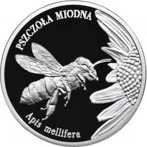 20 złotych 2015 Pszczoła Miodna