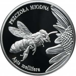 20 złotych 2015 Pszczoła Miodna