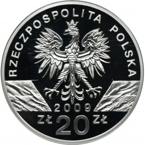 20 złotych 2009 Jaszczurka Zielona