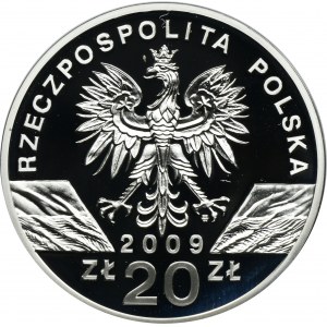 20 złotych 2009 Jaszczurka Zielona