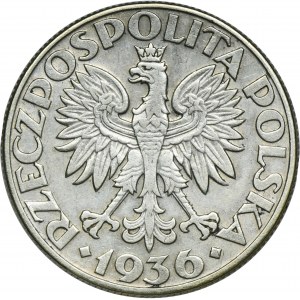 Żaglowiec, 5 złotych 1936