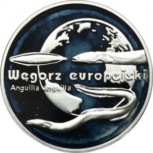 20 złotych 2003 Węgorz europejski