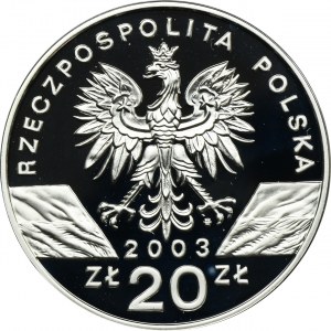 20 złotych 2003 Węgorz europejski