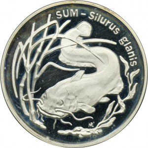 20 złotych 1995 Sum