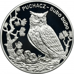 20 złotych 2005 Puchacz