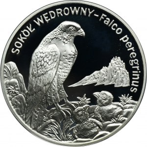 20 złotych 2008 Sokół
