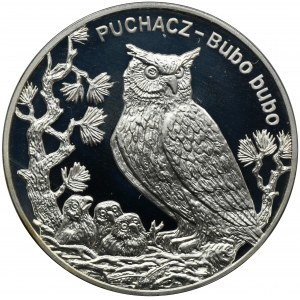 20 złotych 2005 Puchacz