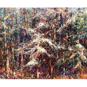 Mariusz Kaldowski, Pine Rhapsody, 2018