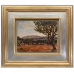 Jozef Pankiewicz (1866 Lublin - 1940 Marseille), Provençal landscape with olive grove