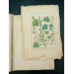 Lékařská flóra aneb popis rodových a druhových znaků všech rostlin používaných v lékařství Dr. Edward Winkler 270 barevných desek Rok vydání 1852