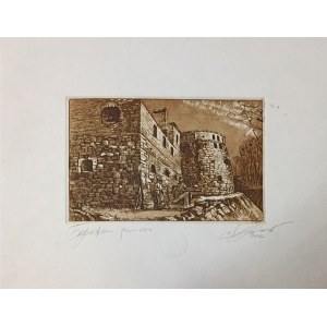 Vladislav Khristenko (born 1963), Berezhany. Castle, 2016