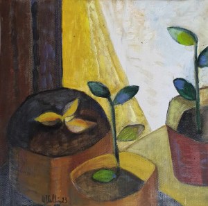 Collin Maria