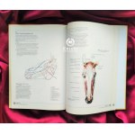Průvodce pro umělce: Anatomie člověka. Anatomie živočichů (dvousvazkový komplet) - Gottfried BAMMES