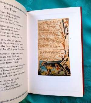The illustrated poets - William BLAKE