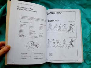 JÓŹWIAK Ryszard - Viet vo dao. A martial art from Vietnam. UNIQUE