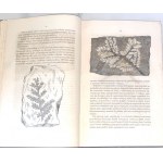 DZIEKOŃSKI- DIVOČINA PRVÉHO SVETA alebo ZBORNÍK VŠETKÝCH vyd. 1857. 237 drevorezov