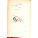 ZAPOLSKA - TAMTEN. Dramat współczesny w 5 aktach [wydanie pierwsze 1899] [il. Stanisław Janowski]