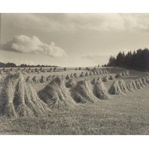 Edward Hartwig (1909 - 2003), Sheaves, 1926
